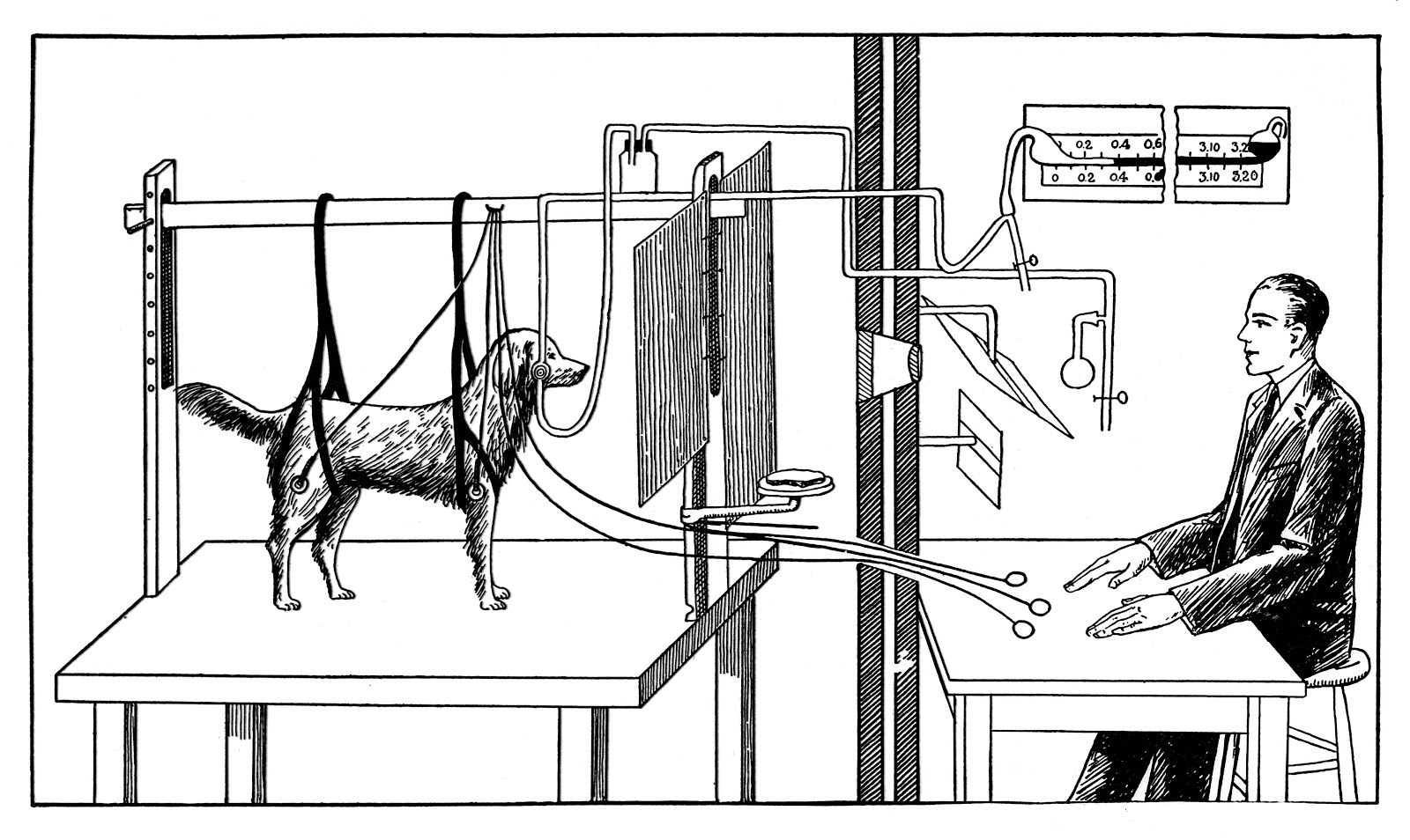 Pavlov_experiments_with_dog_Wellcome_M0014738.jpg