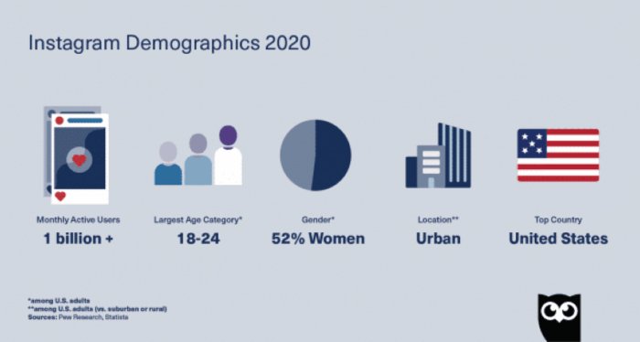 Instagram demographics chart by Hootsuite