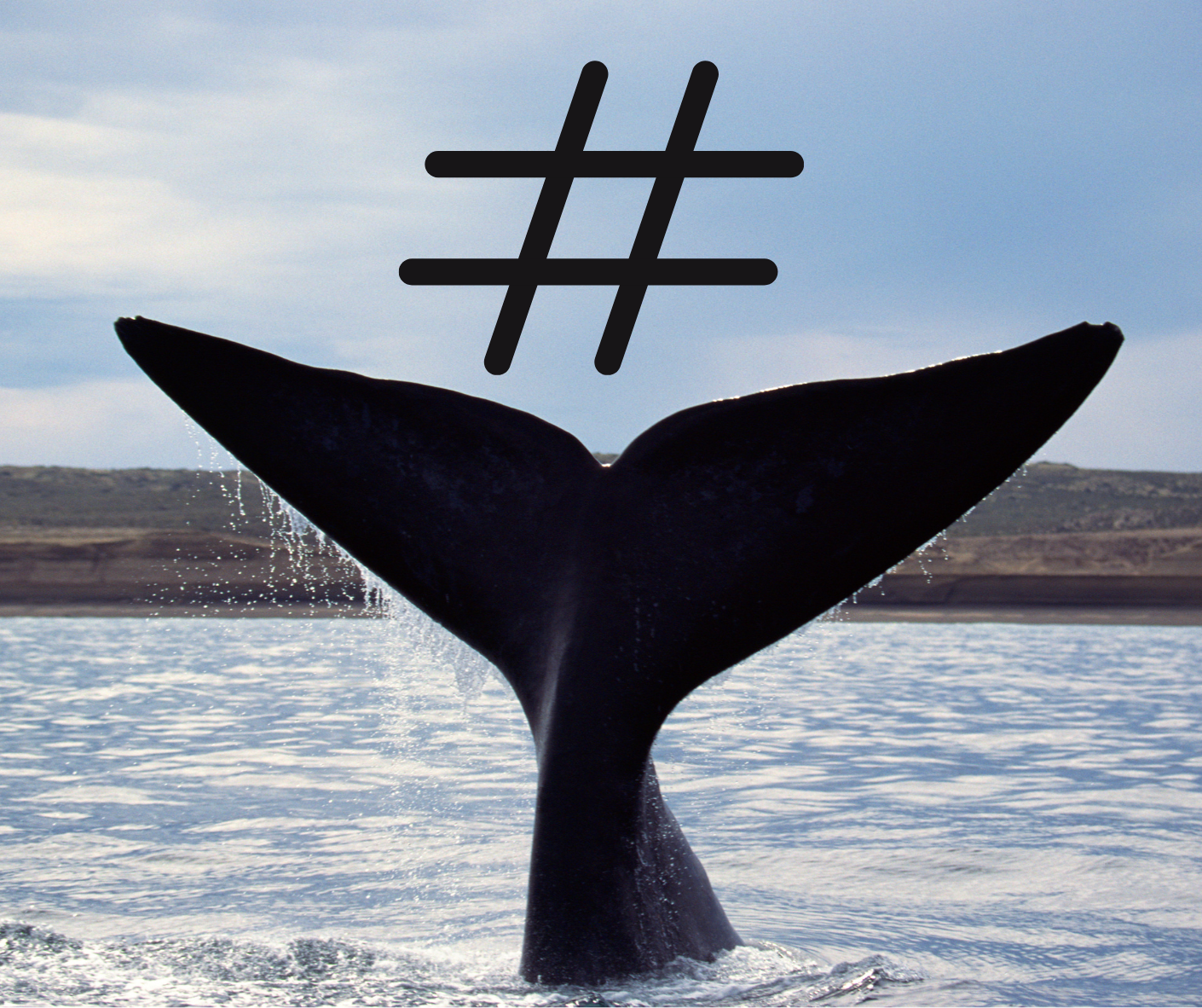 Longtail Hashtags - TINT Blog