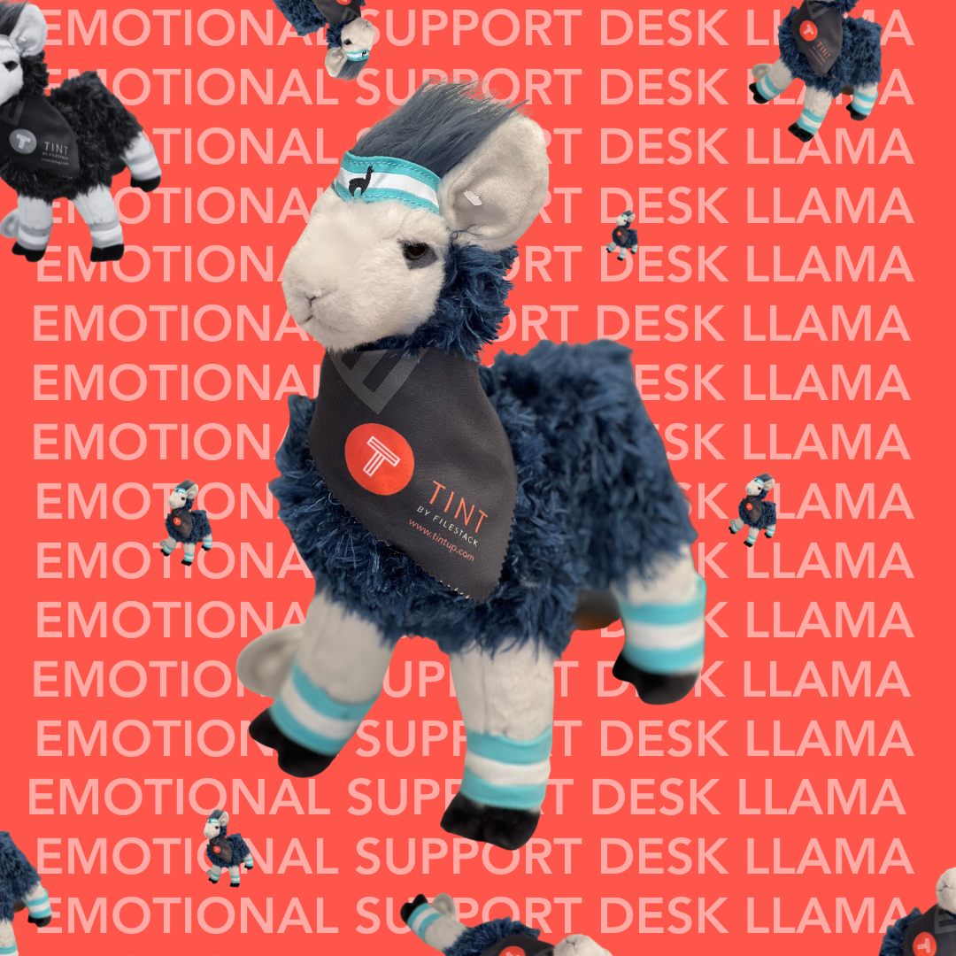 TINT Desk Llama wearing bandana