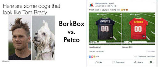 barkbox vs petco graphic