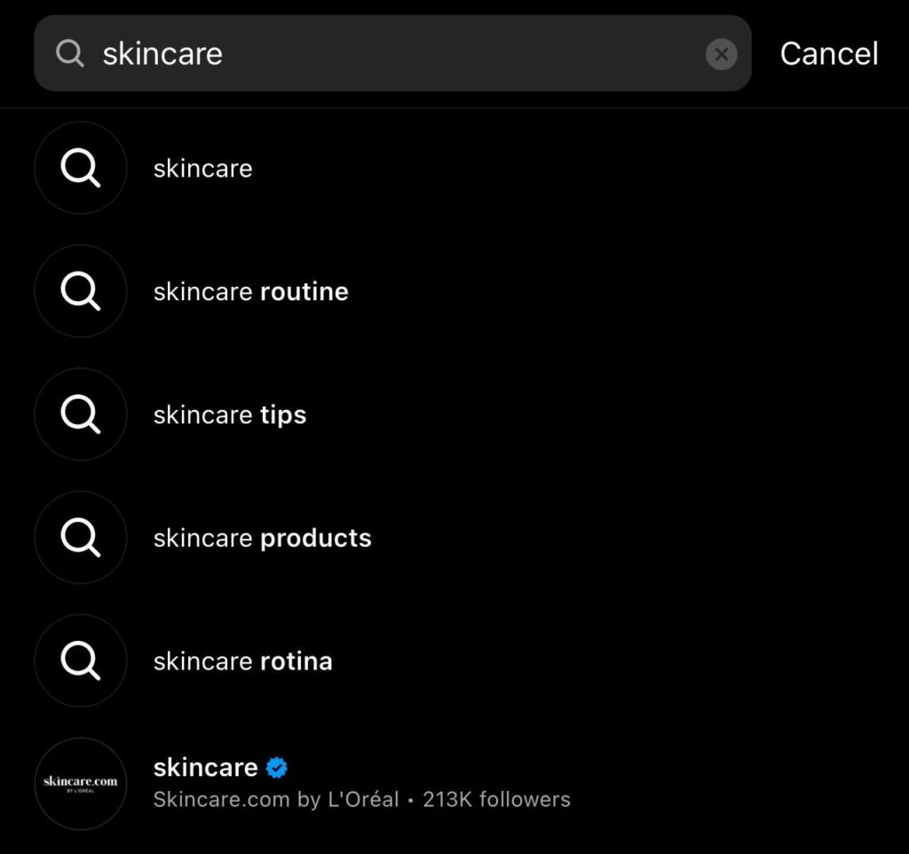 An instagram search for "skincare" highlighting recommended results like routine, tips, products, and brands they can follow (L'Oreal)