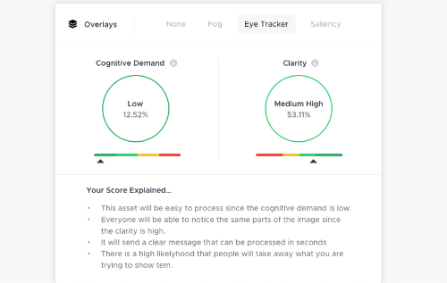 TINT Attention Score Explained Section