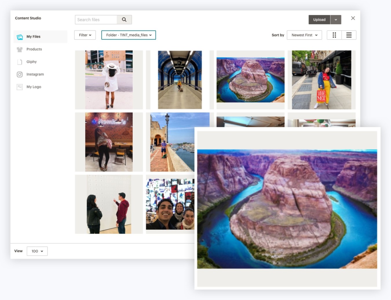Mailchimp Campaigns