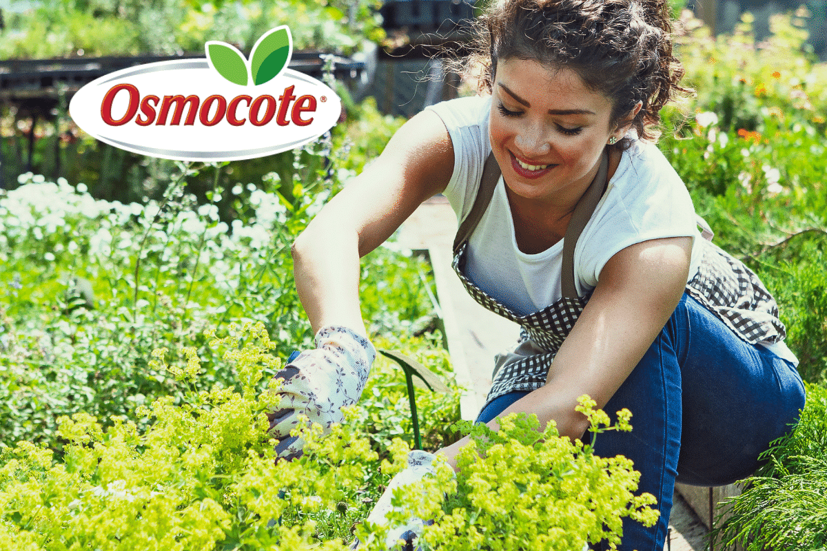 Woman gardening with Osmocote logo