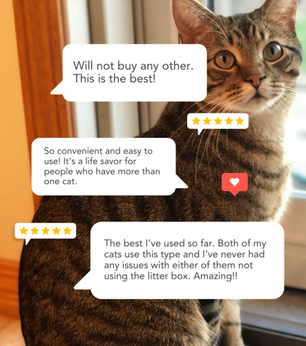 A photo of a cat with a testimonials overlay of people saying how much they love the ARM & HAMMER Cat Litter brand.